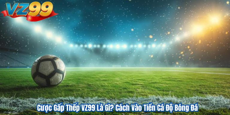 Cược Gấp Thếp VZ99 Là Gì? Cách Vào Tiền Cá Độ Bóng Đá 4 Cược Gấp Thếp VZ99 Là Gì? Cách Vào Tiền Cá Độ Bóng Đá